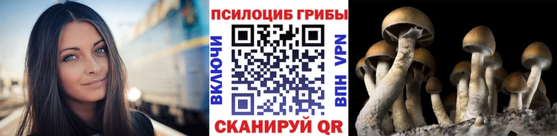Псилоцибиновые грибы прущие грибы Саянск